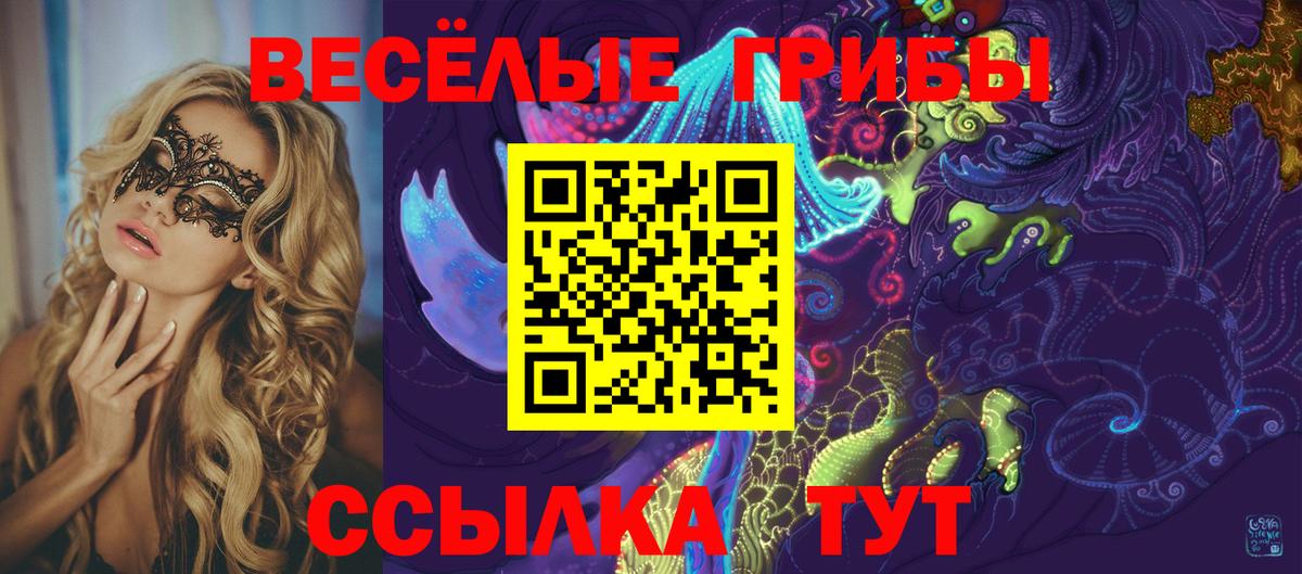 Лесозаводск  Псилоцибиновые грибы ЛСД  Вход с VPN 