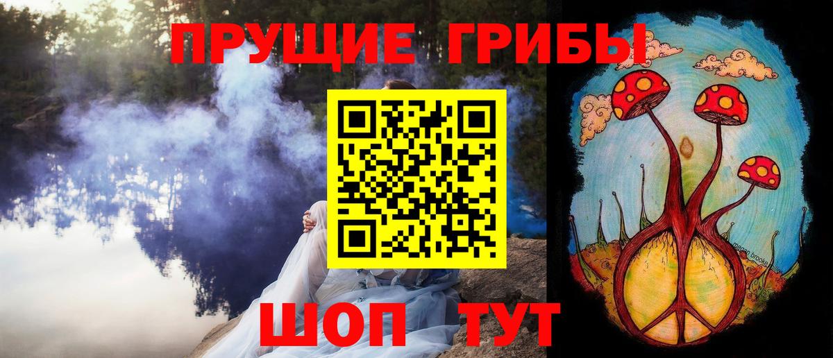 Галлюциногенные грибы Psilocybe Лесозаводск